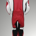 Motorradbekleidung nach Maß Modell Stripe